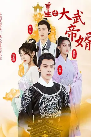 重生之大武帝婿
