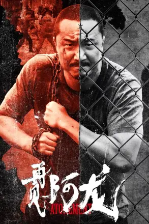 阿龙
