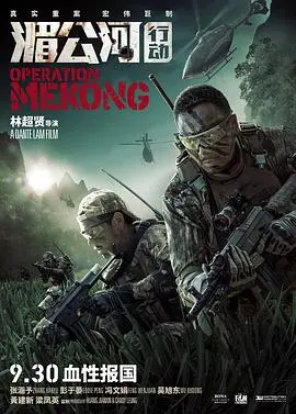湄公河行动(2016)