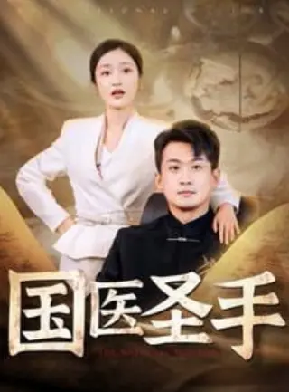 国医圣手88集