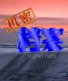 机密档案