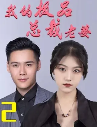 我的24岁美女总裁老婆