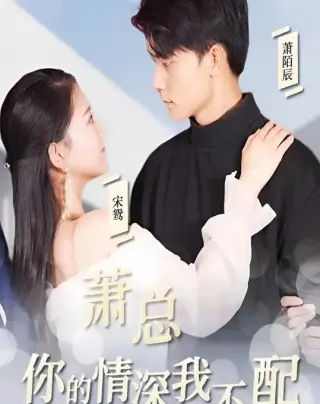 萧总你的情深我不配