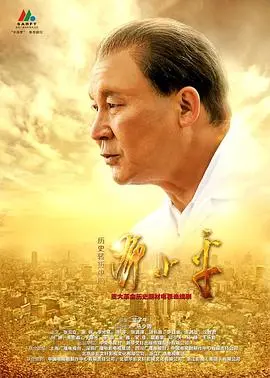 历史转折中的邓小平(2014)