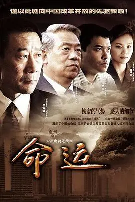命运(2010)