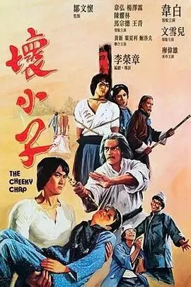 坏小子(1980)