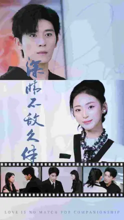 深情不敌久伴