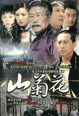 山菊花2009