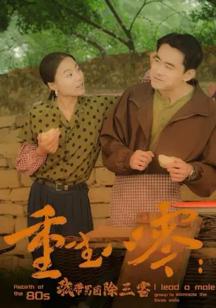 重生八零我带男团除三害