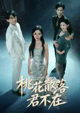 我下跪感谢小三替我怀孕（桃花散落君不在）
