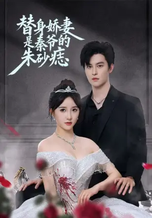 替身娇妻是秦爷的朱砂痣
