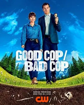 好警察坏警察