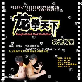 龙拳天下(2008)
