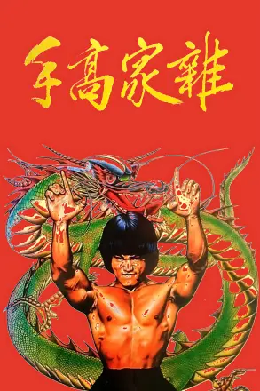 杂家高手