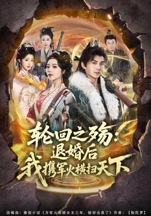 轮回之殇:退婚后我携军火横扫天下