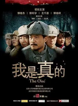 我是真的(2011)