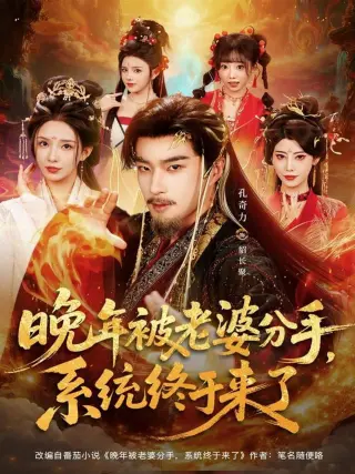 晚年被老婆分手，系统终于来了